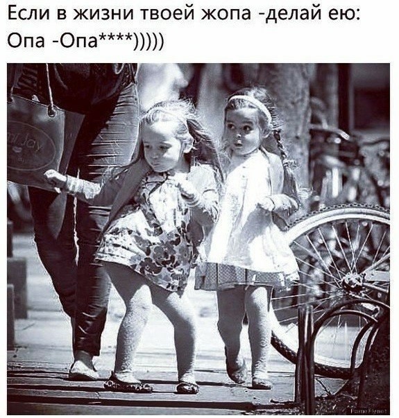 ���������� #2185058