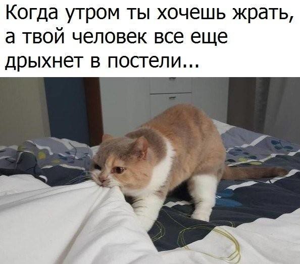 ���������� #2185377