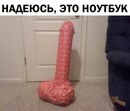 ���������� #2185528