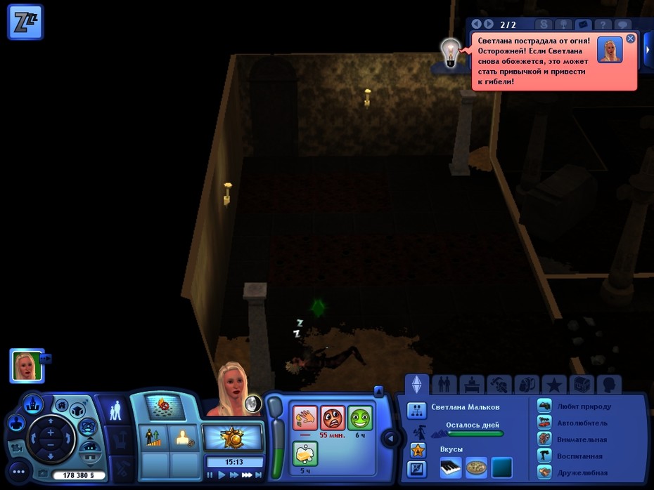 The SimS 3