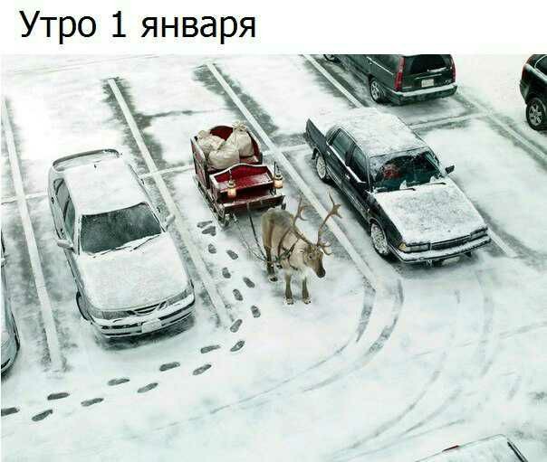 ���������� #2186170