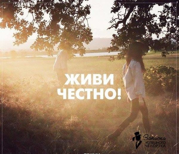 ���������� #2186255