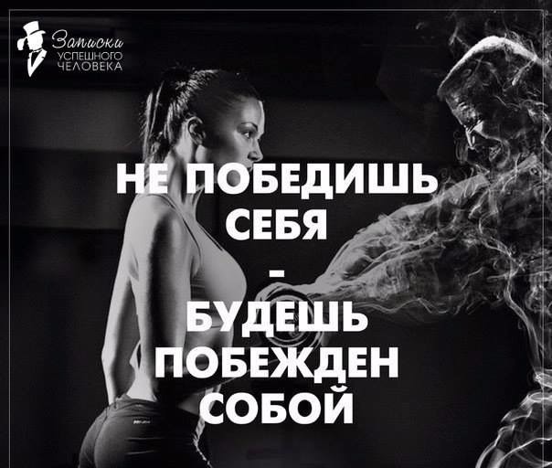 ���������� #2186365