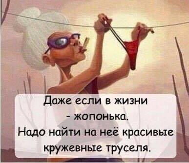 ���������� #2186366