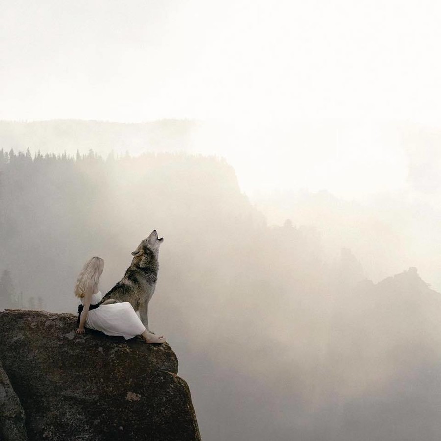 ������� ���. �����: Ted Chin