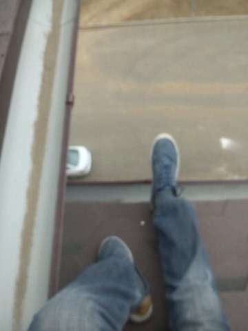 ���������� #2186588