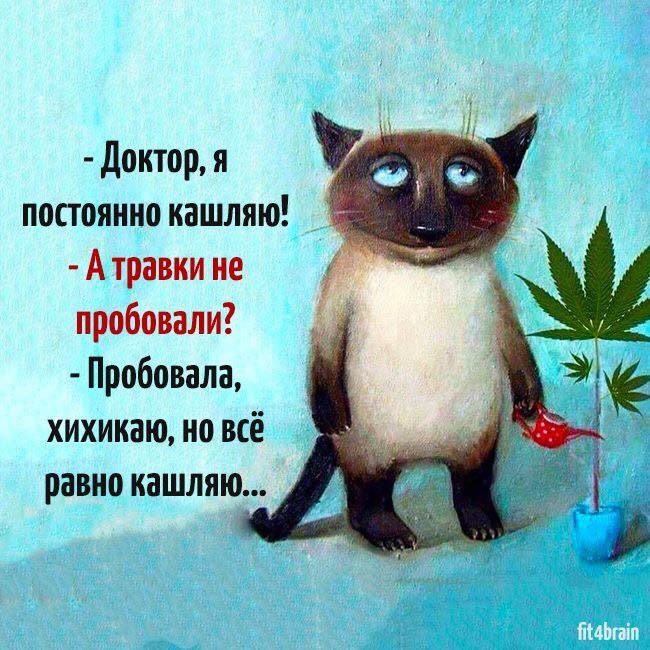 ���������� #2187152