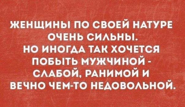 ���������� #2187209