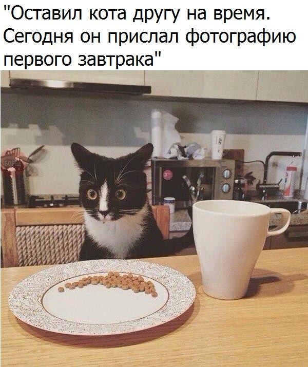 ���������� #2187257
