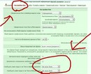 ���������)