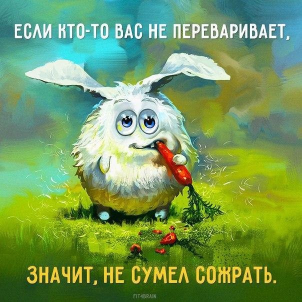 ���������� #2187618