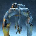 ����. �����: Adam Martinakis
