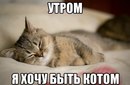 ���������� #2187886