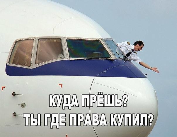 ���������� #2187891
