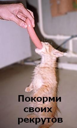 ���������� #2188050