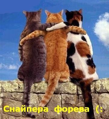 ���������� #2188052