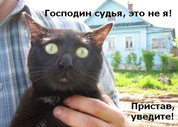 ���������� #2188061