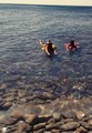 ���������� #2188427