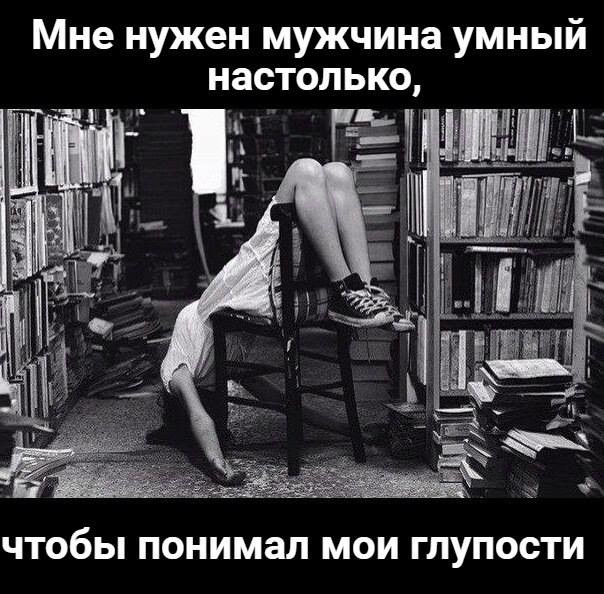 ���������� #2188984