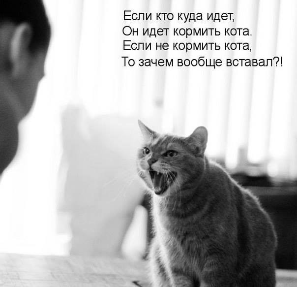 ���������� #2191330
