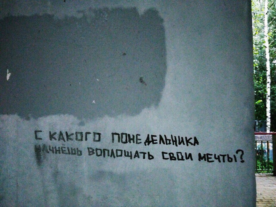 ���������� #2191430