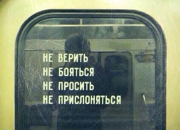 ���������� #2191432