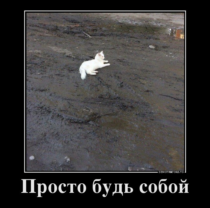 ���������� #2191662