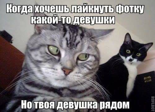 ���������� #2191754