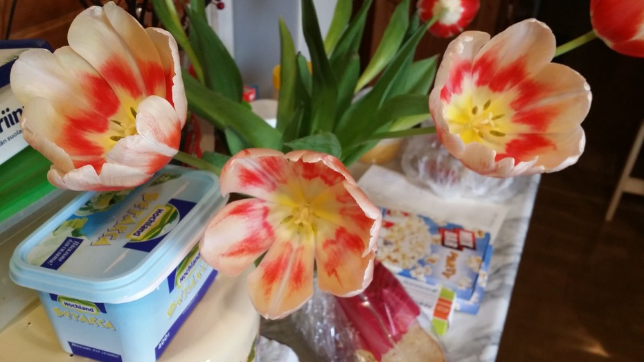 � 8-�� ����� ��� ����� =)