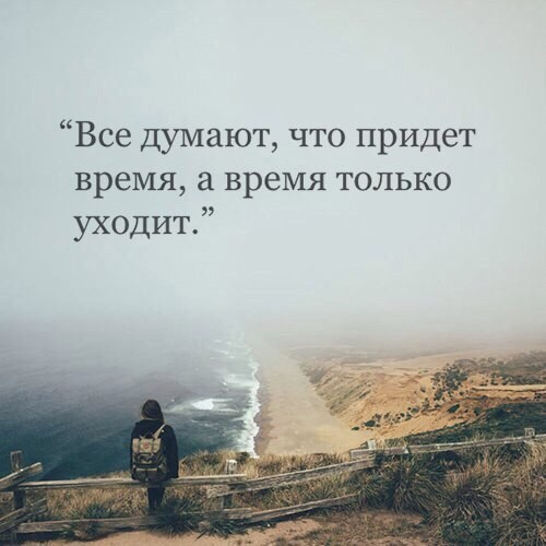 ���������� #2194405
