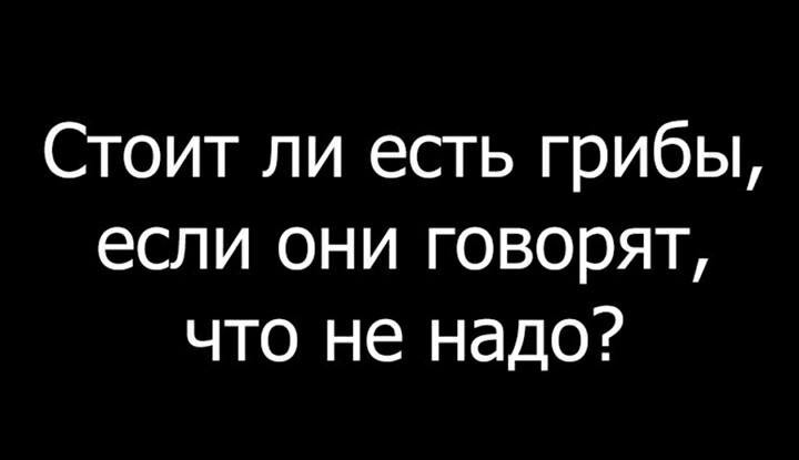 ���������� #2194574