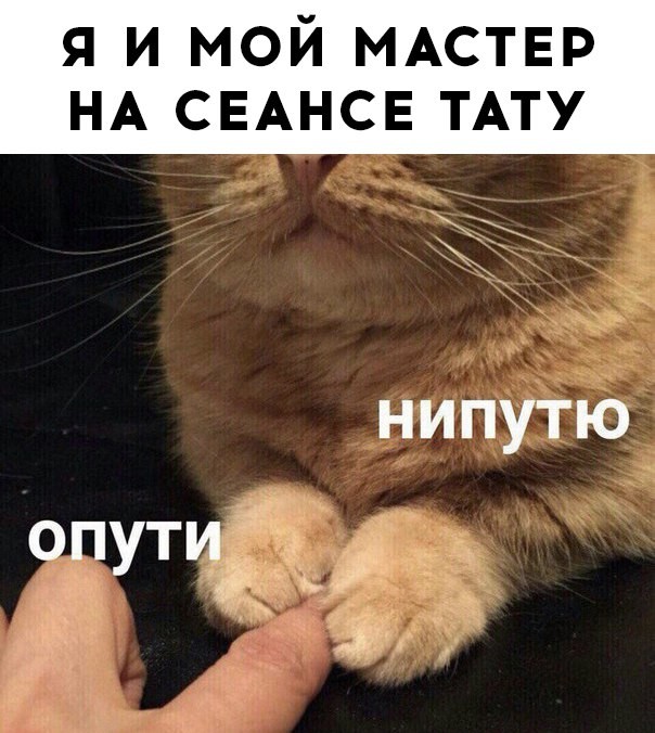���������� #2195020