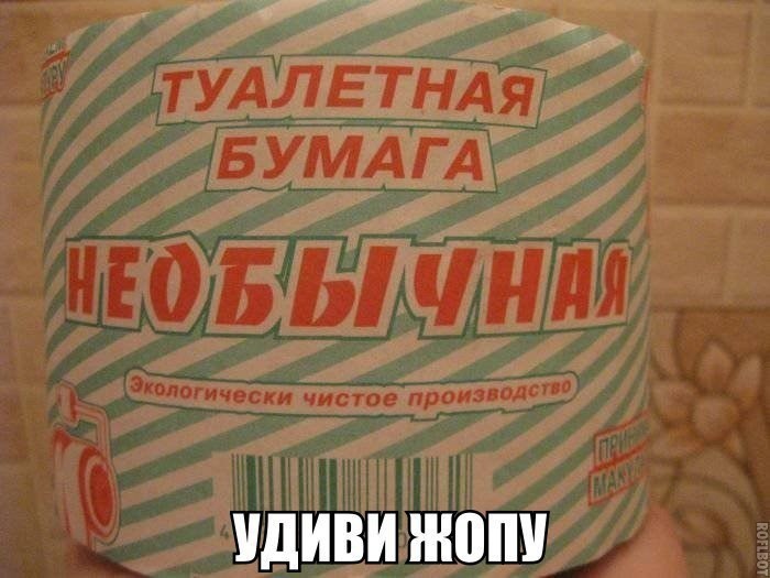 ���������� #2195601