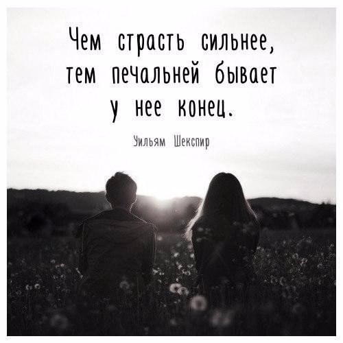 ���������� #2196916