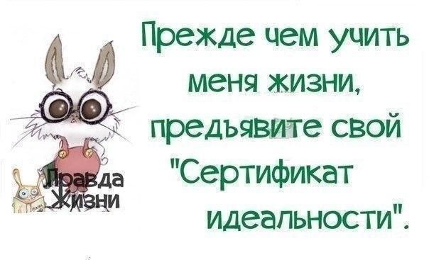 ���������� #2197433