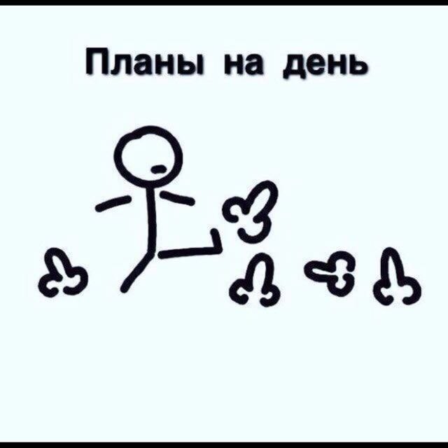 ���������� #2190876