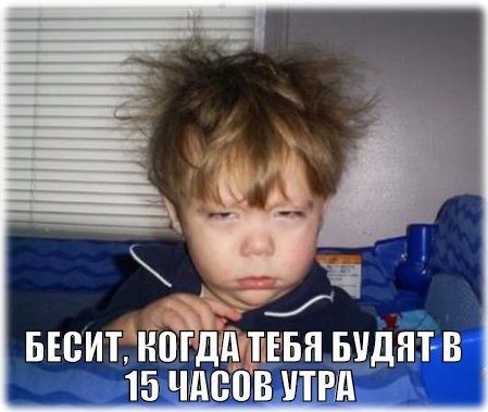 ���������� #2198430