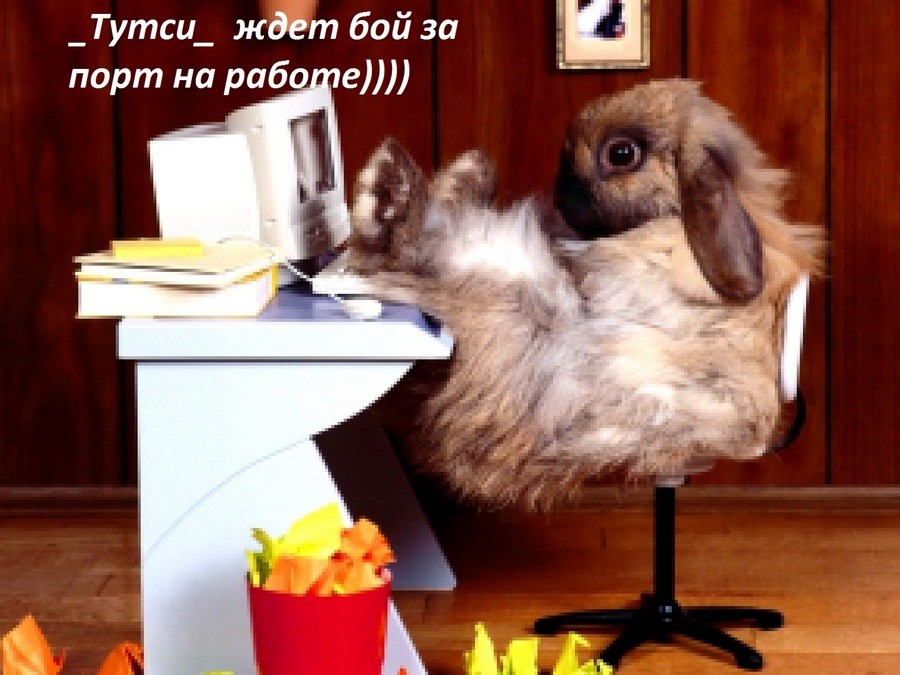 ����))))
