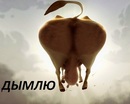 �������� ����)))