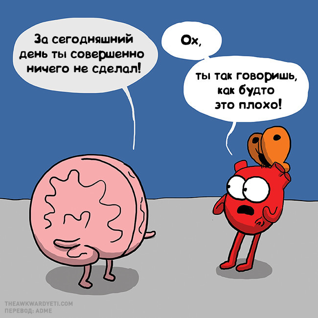 ���������� #2198837