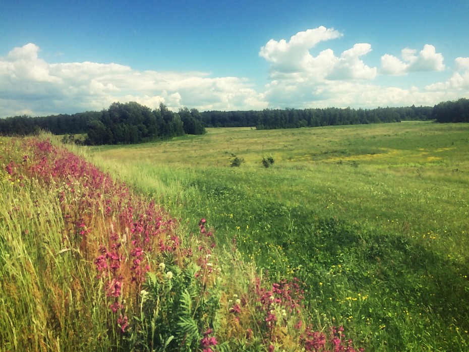 ���������� #2199759