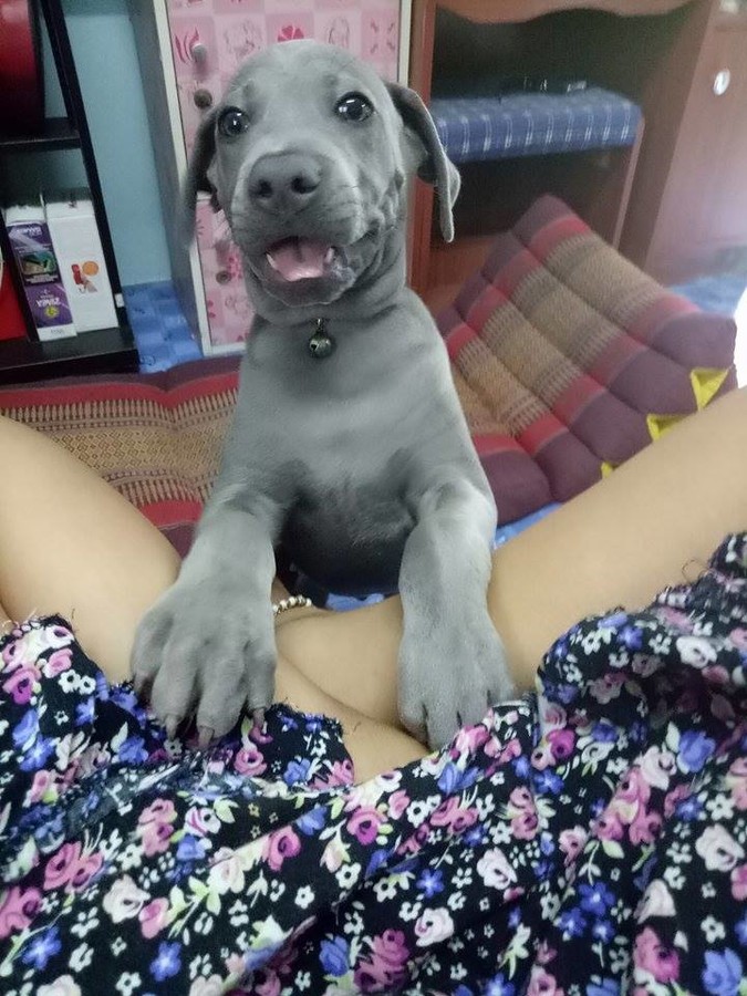 ���������� #2199860