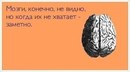 ���������� #2024450