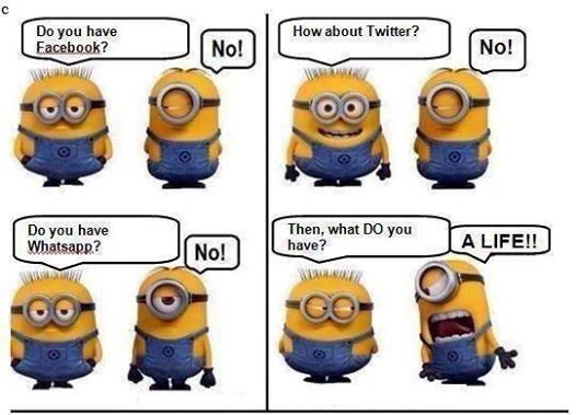 ���������� #2202271
