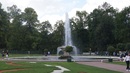 ���������� #2202944