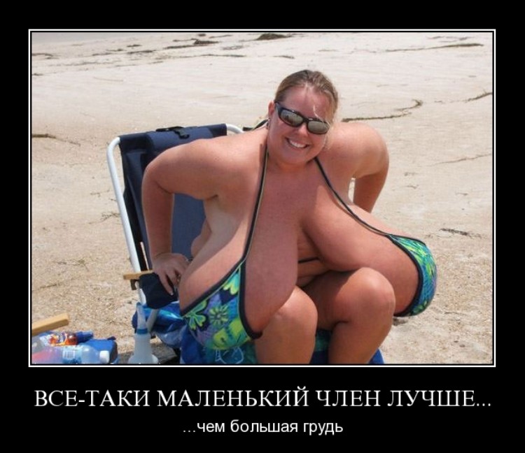 ���������� #2203370