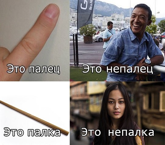 ���������� #2203717