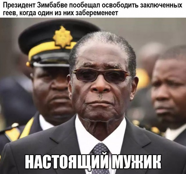 ���������� #2203719