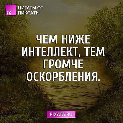 ���������� #2203999