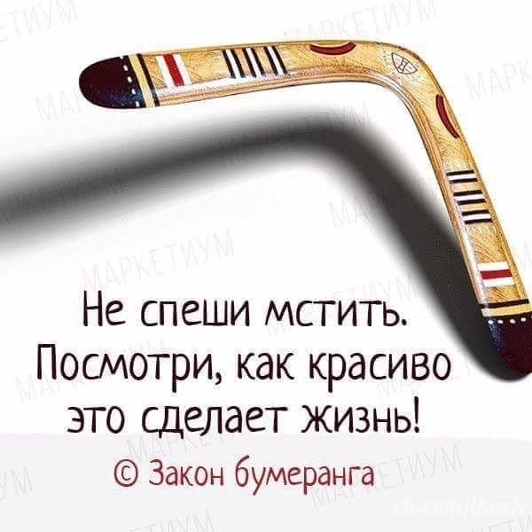 ���������� #2204024